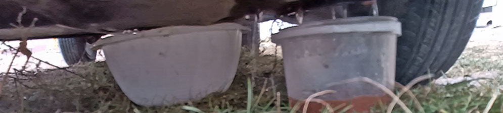 Как заменить охлаждающую жидкость на ВАЗ-2110: фото и видео